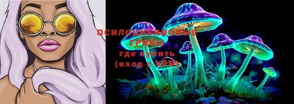 ALPHA-PVP Заводоуковск