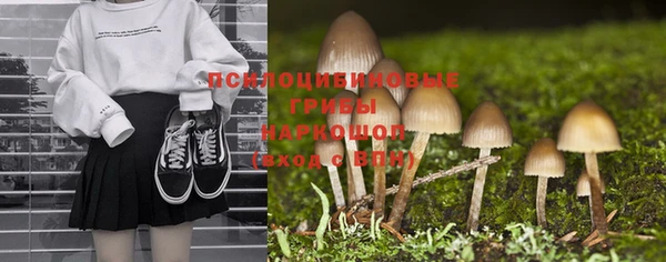 ALPHA-PVP Заводоуковск