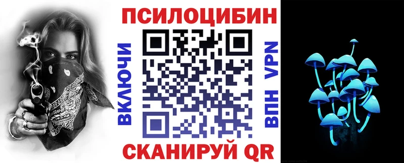 Галлюциногенные грибы Psilocybe  Купить закладки  Кинель 